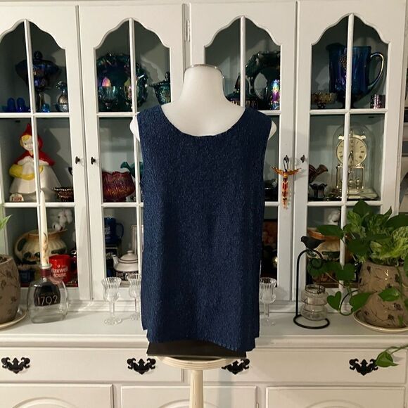 Draper’s & Damon’s Sleeveless Shell Silver and Blue Sz PS - Picture 5 of 8